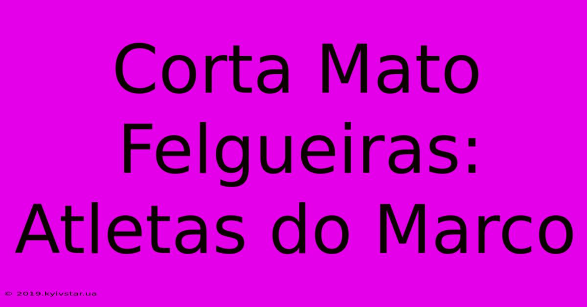 Corta Mato Felgueiras: Atletas Do Marco