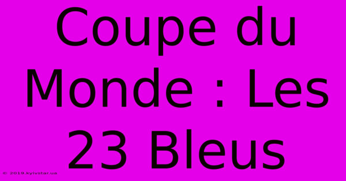 Coupe Du Monde : Les 23 Bleus