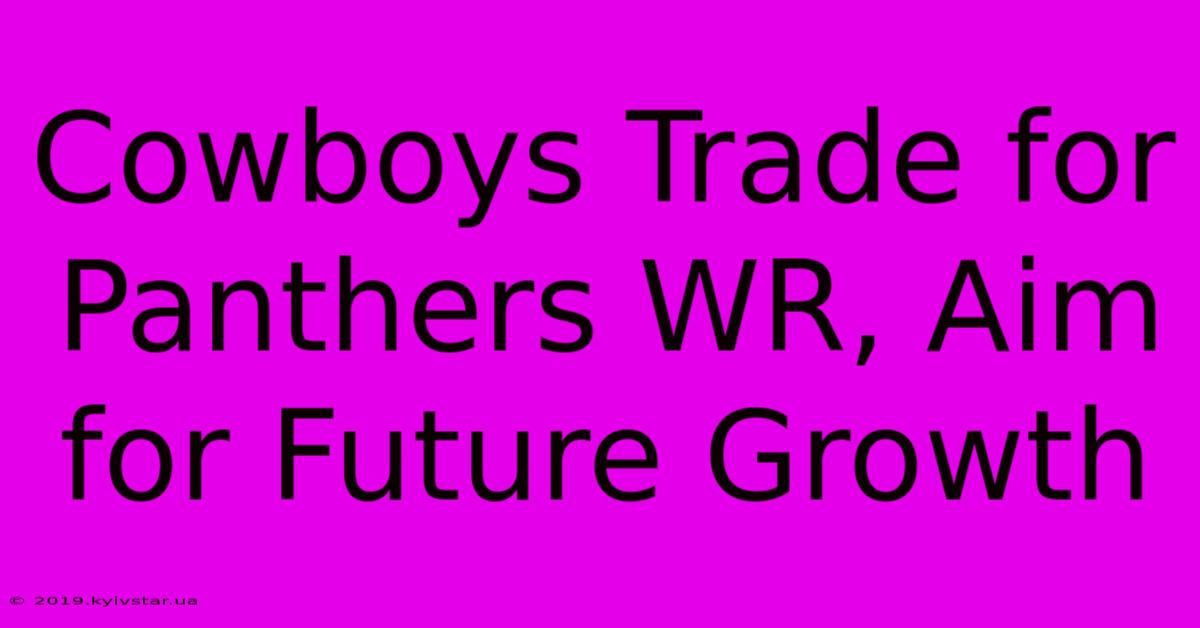 Cowboys Trade For Panthers WR, Aim For Future Growth