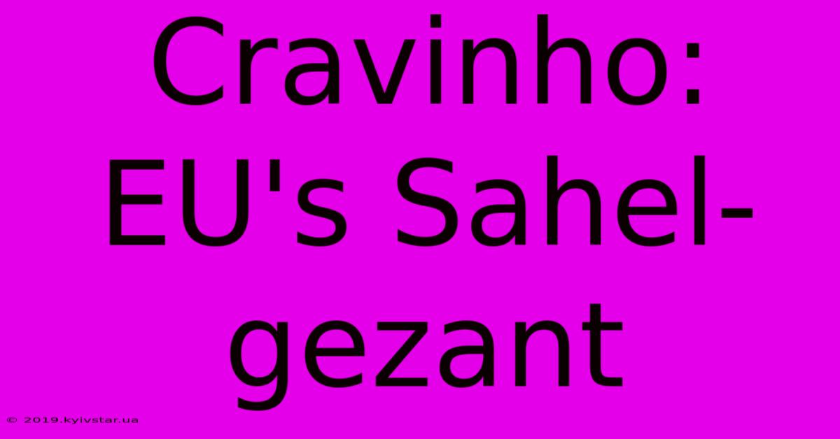 Cravinho: EU's Sahel-gezant