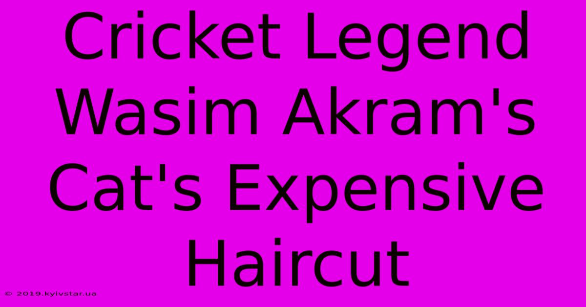 Cricket Legend Wasim Akram's Cat's Expensive Haircut