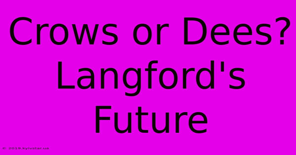 Crows Or Dees? Langford's Future