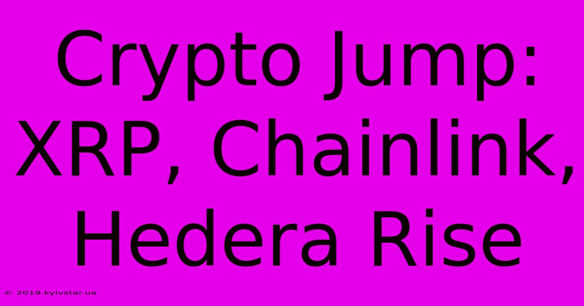 Crypto Jump: XRP, Chainlink, Hedera Rise