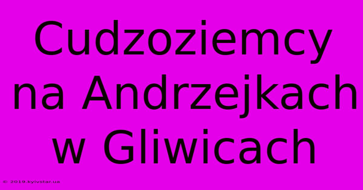 Cudzoziemcy Na Andrzejkach W Gliwicach