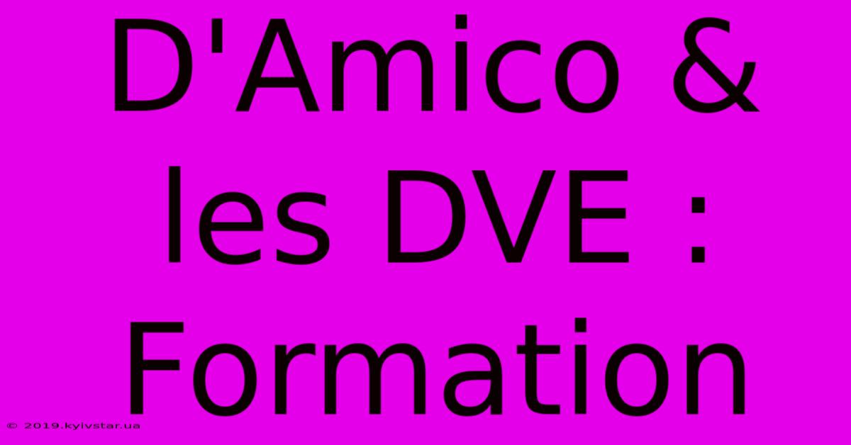 D'Amico & Les DVE : Formation