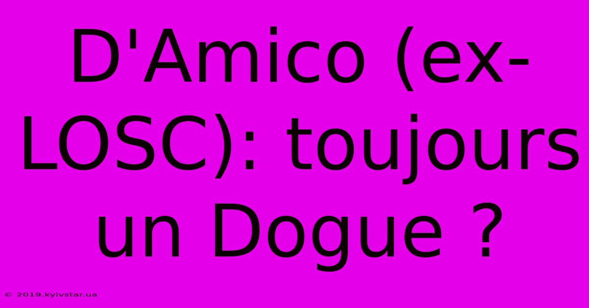 D'Amico (ex-LOSC): Toujours Un Dogue ?