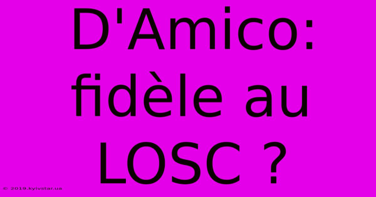 D'Amico:  Fidèle Au LOSC ?