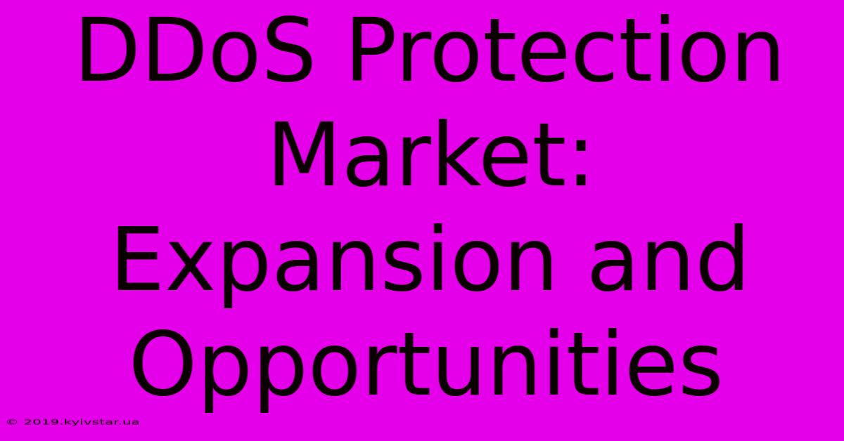 DDoS Protection Market:  Expansion And Opportunities 