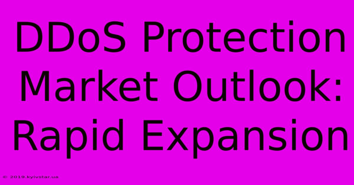 DDoS Protection Market Outlook: Rapid Expansion