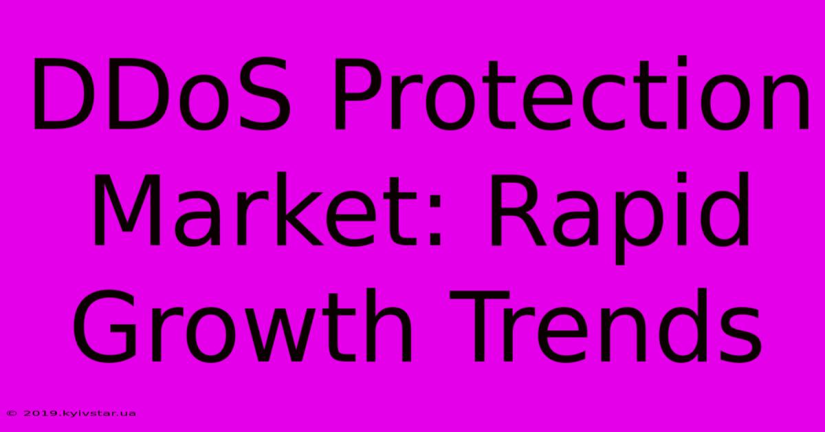 DDoS Protection Market: Rapid Growth Trends