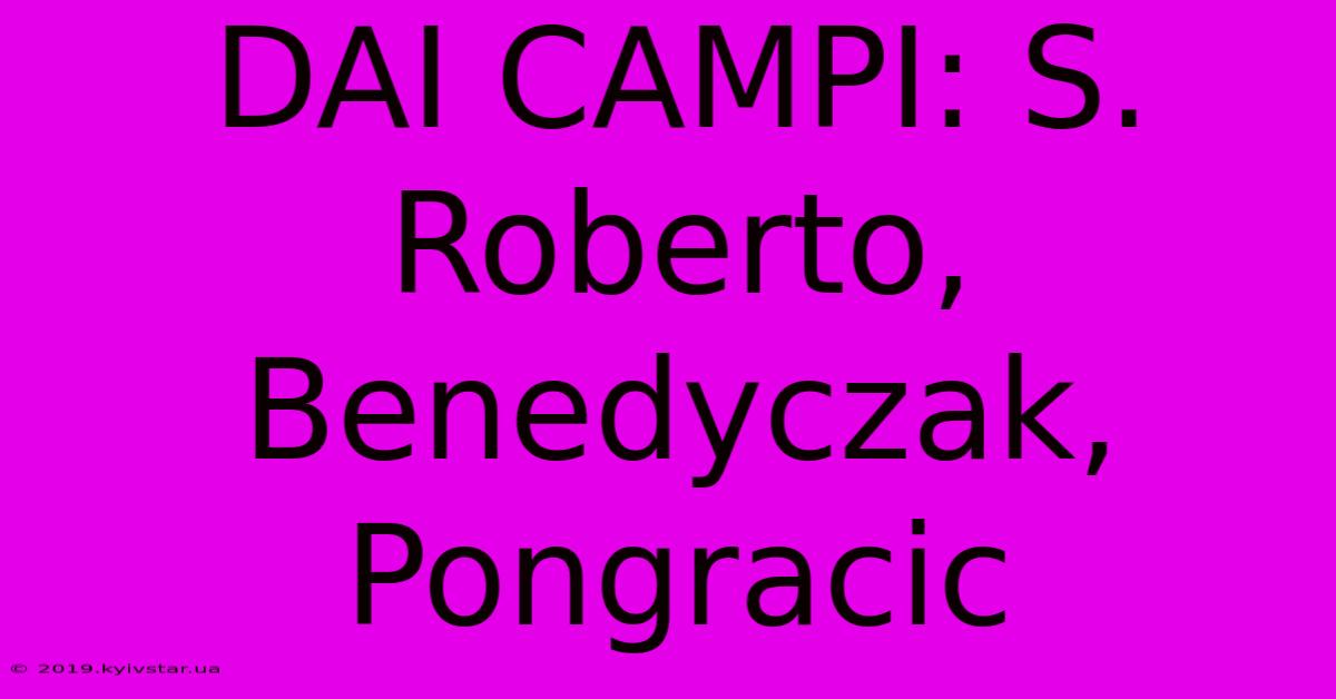 DAI CAMPI: S. Roberto, Benedyczak, Pongracic 