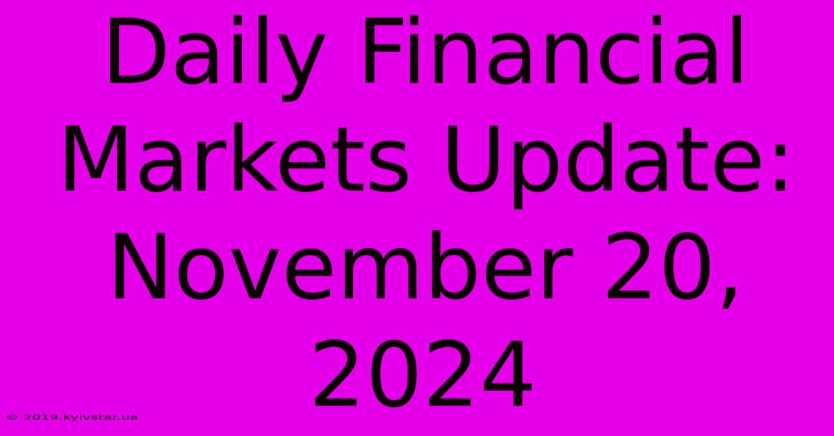 Daily Financial Markets Update: November 20, 2024