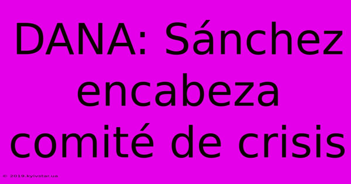 DANA: Sánchez Encabeza Comité De Crisis