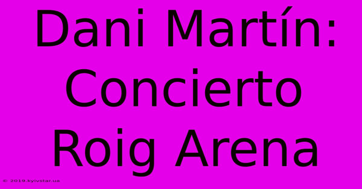 Dani Martín: Concierto Roig Arena