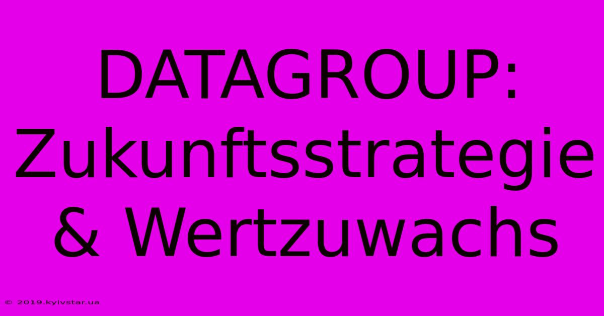 DATAGROUP:  Zukunftsstrategie & Wertzuwachs