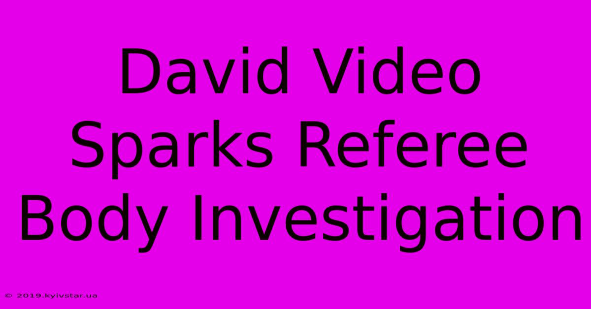 David Video Sparks Referee Body Investigation