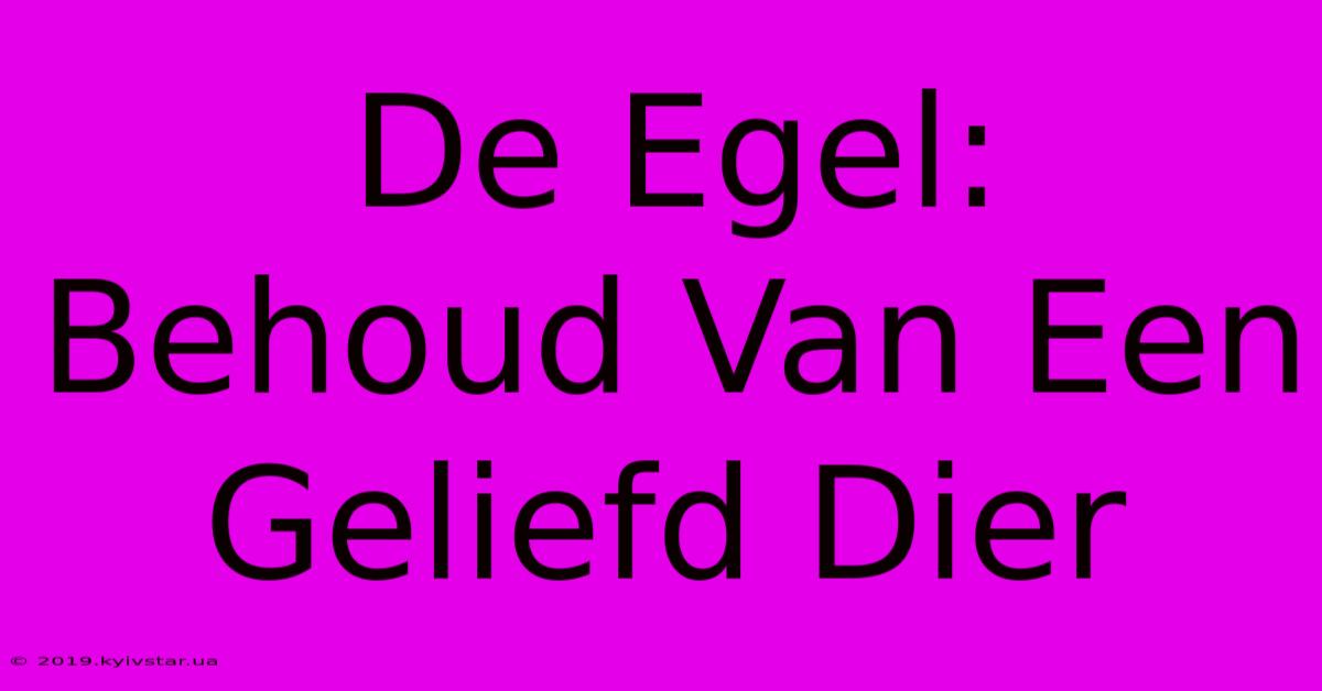 De Egel: Behoud Van Een Geliefd Dier 