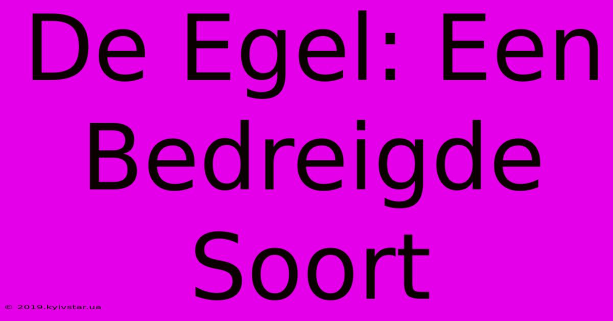 De Egel: Een Bedreigde Soort