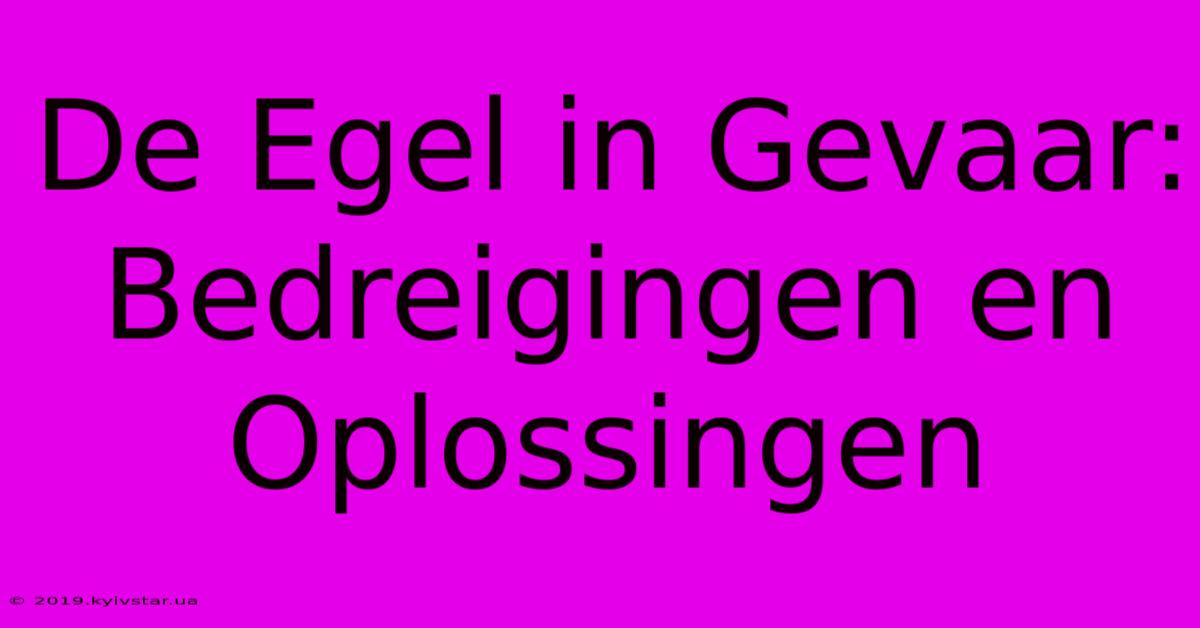 De Egel In Gevaar: Bedreigingen En Oplossingen