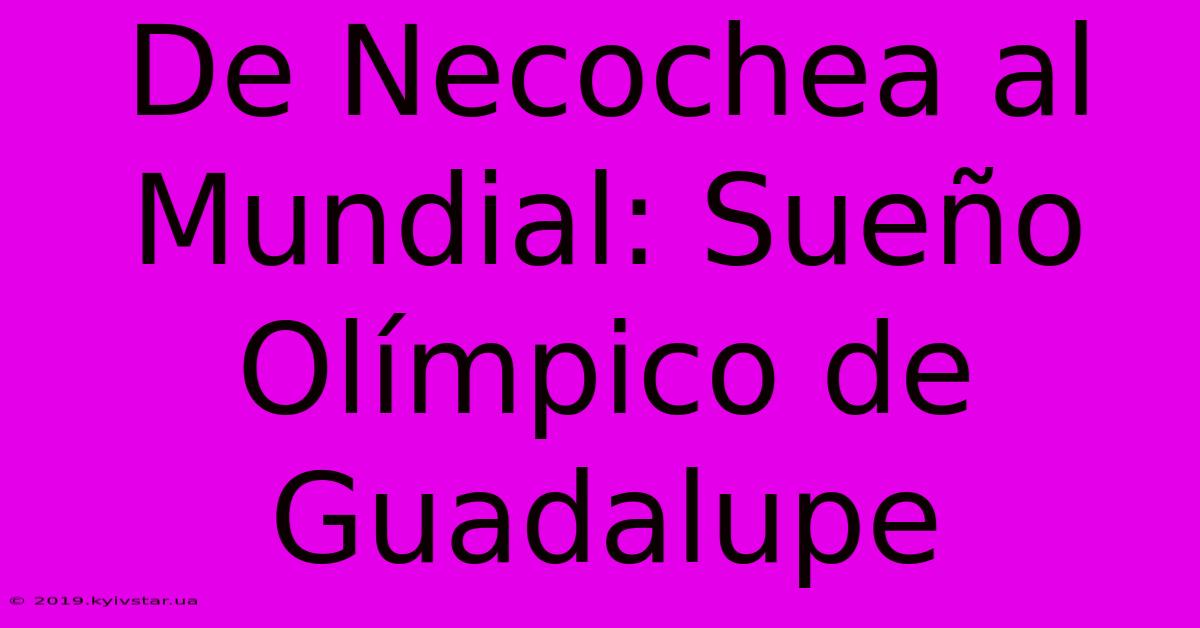 De Necochea Al Mundial: Sueño Olímpico De Guadalupe