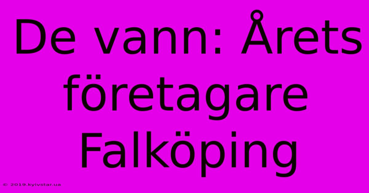 De Vann: Årets Företagare Falköping 