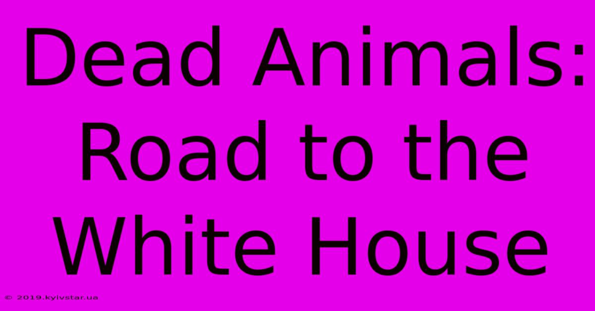 Dead Animals: Road To The White House