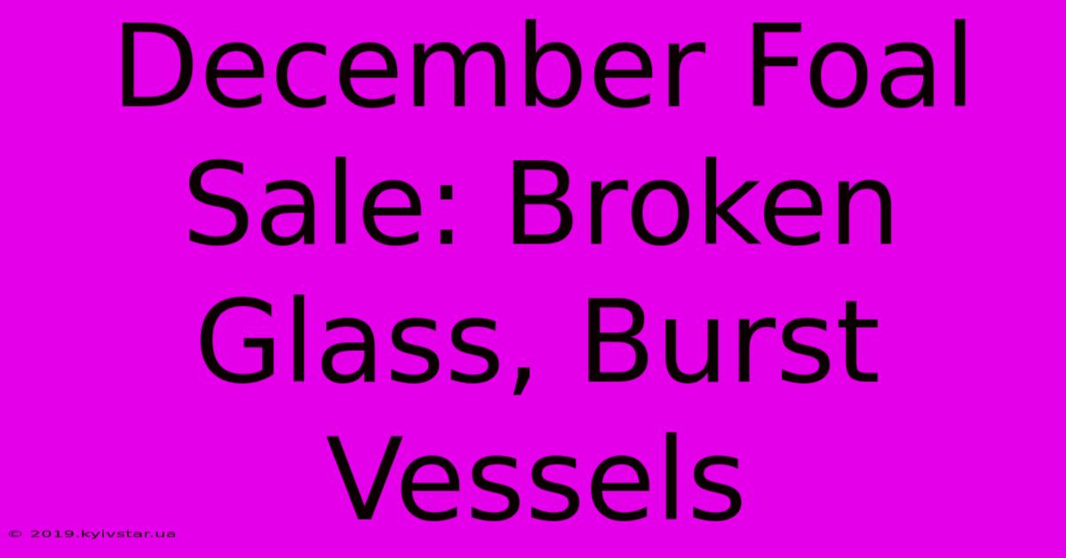 December Foal Sale: Broken Glass, Burst Vessels