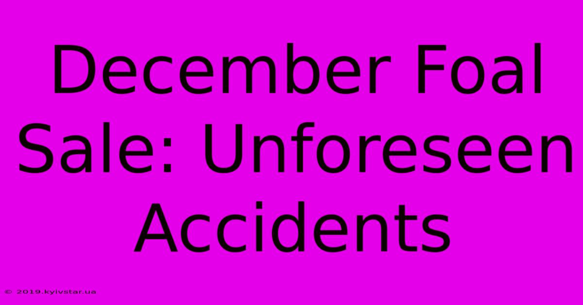 December Foal Sale: Unforeseen Accidents