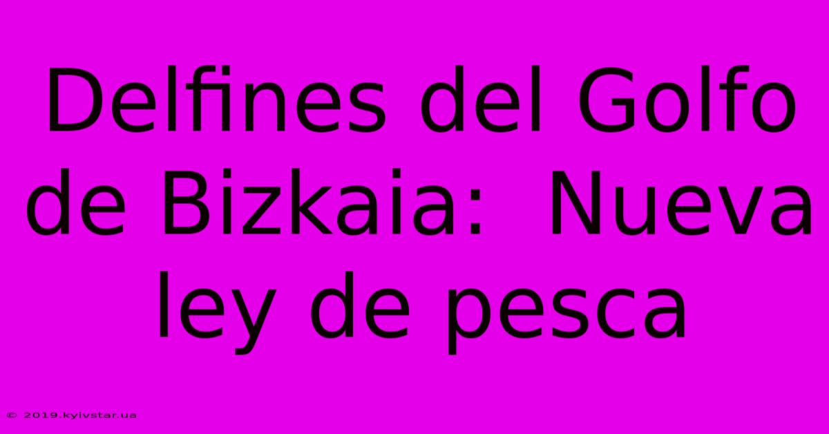 Delfines Del Golfo De Bizkaia:  Nueva Ley De Pesca