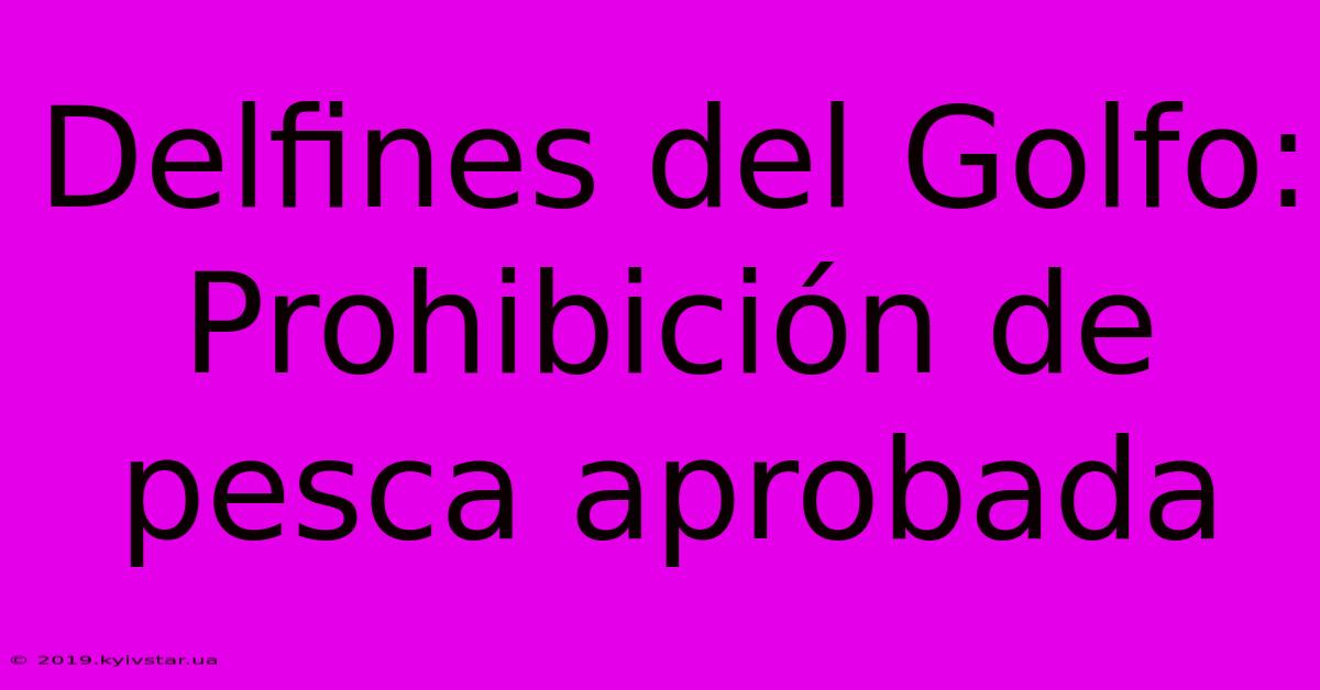 Delfines Del Golfo: Prohibición De Pesca Aprobada