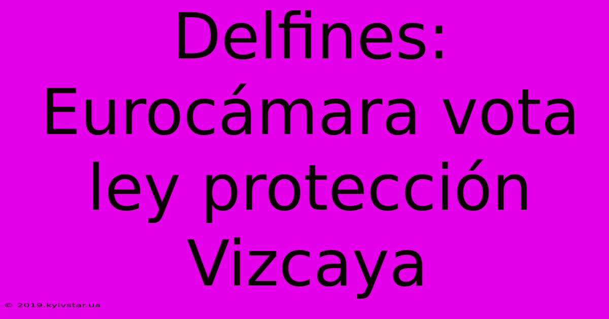 Delfines: Eurocámara Vota Ley Protección Vizcaya