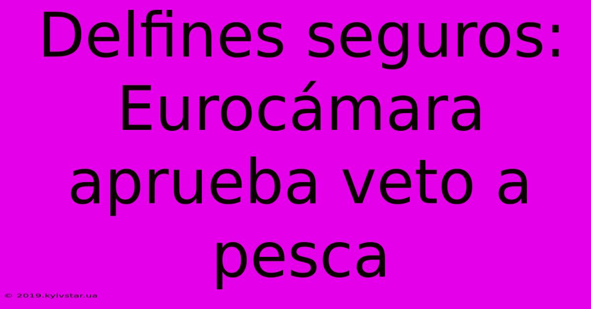 Delfines Seguros: Eurocámara Aprueba Veto A Pesca