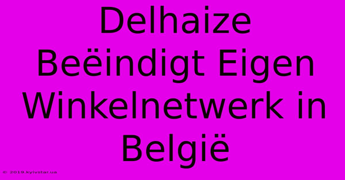 Delhaize Beëindigt Eigen Winkelnetwerk In België