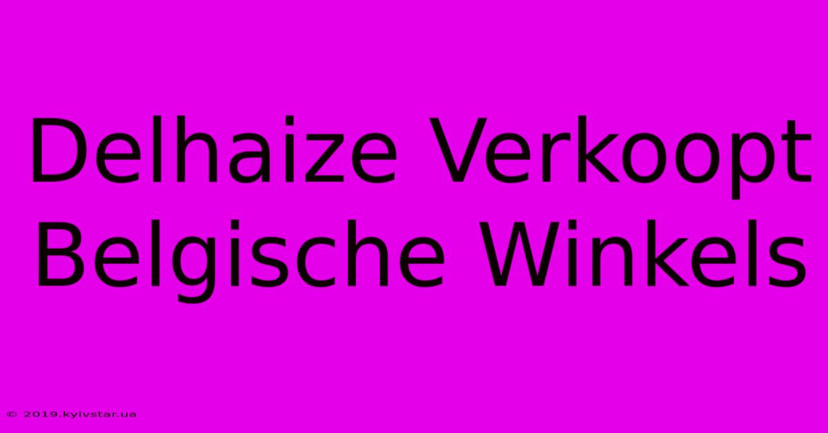 Delhaize Verkoopt Belgische Winkels