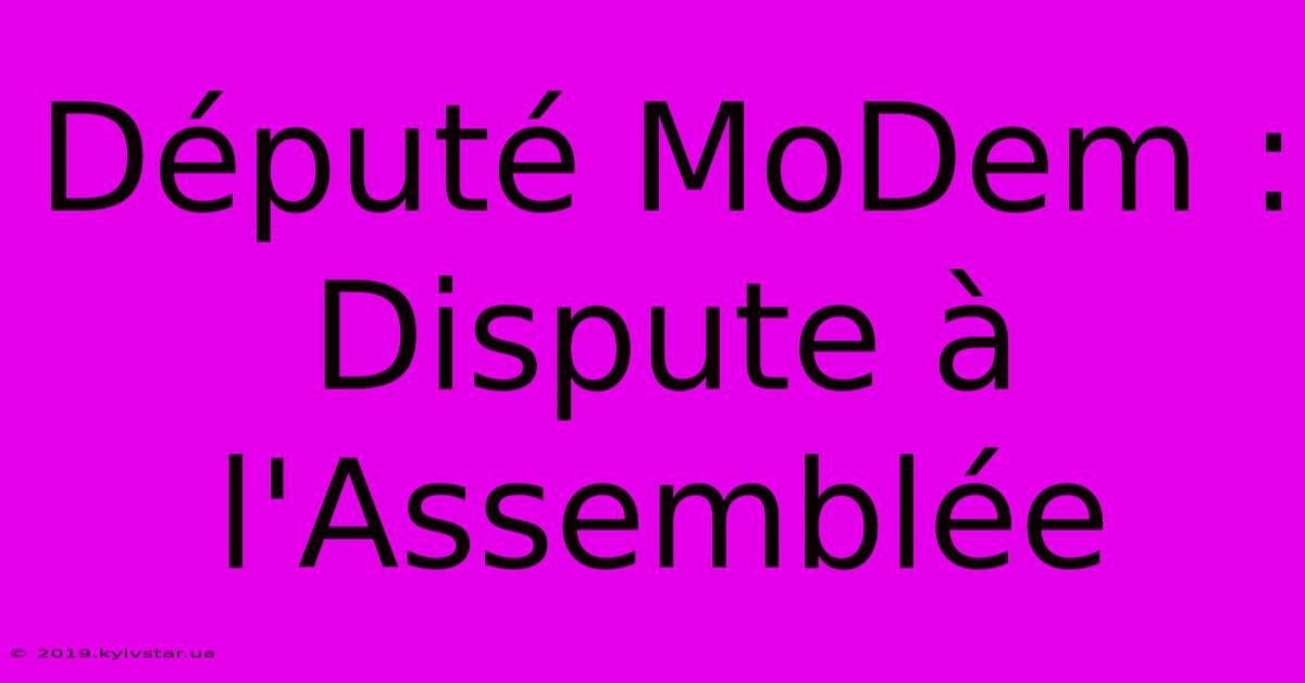 Député MoDem : Dispute À L'Assemblée