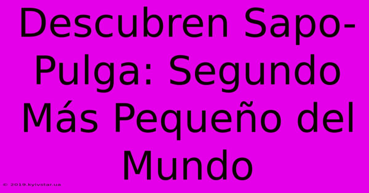 Descubren Sapo-Pulga: Segundo Más Pequeño Del Mundo