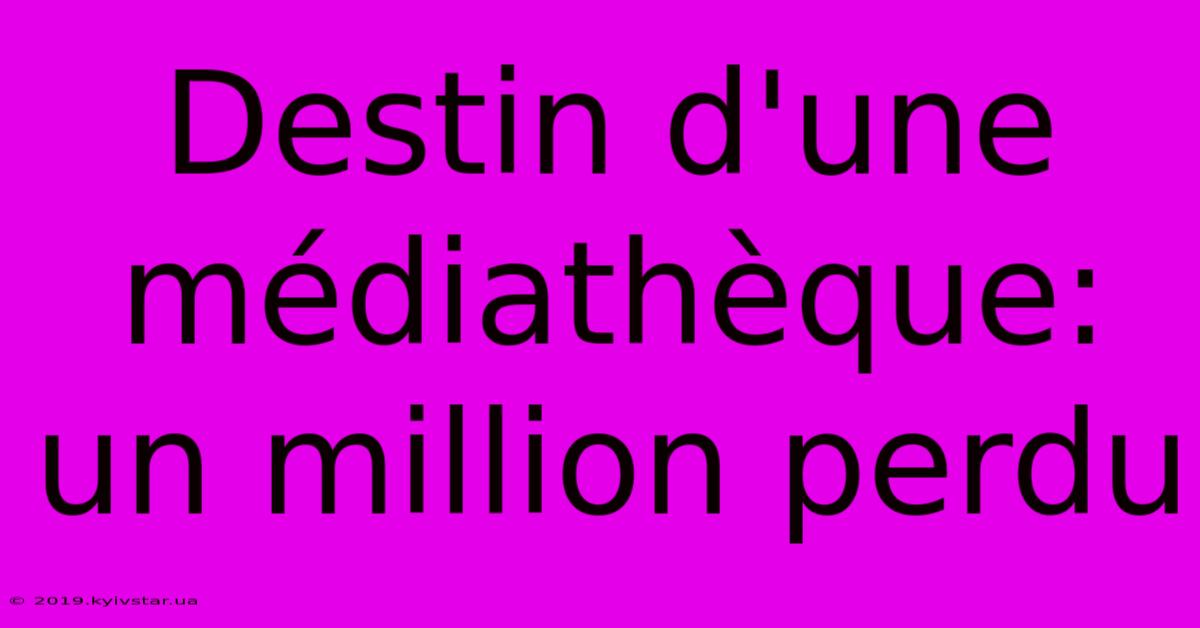 Destin D'une Médiathèque: Un Million Perdu