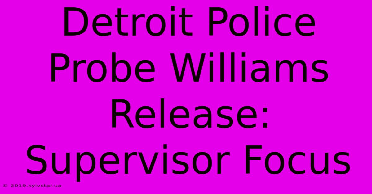 Detroit Police Probe Williams Release: Supervisor Focus 