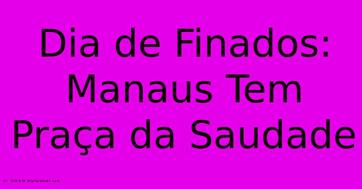 Dia De Finados:  Manaus Tem Praça Da Saudade 