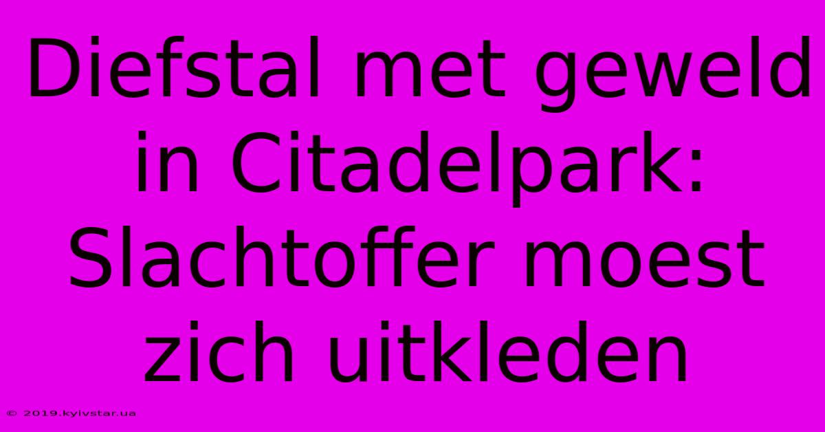 Diefstal Met Geweld In Citadelpark: Slachtoffer Moest Zich Uitkleden