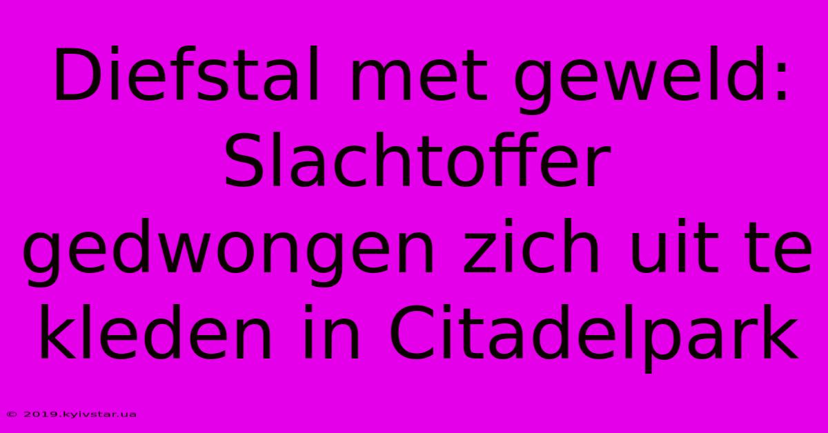 Diefstal Met Geweld: Slachtoffer Gedwongen Zich Uit Te Kleden In Citadelpark 