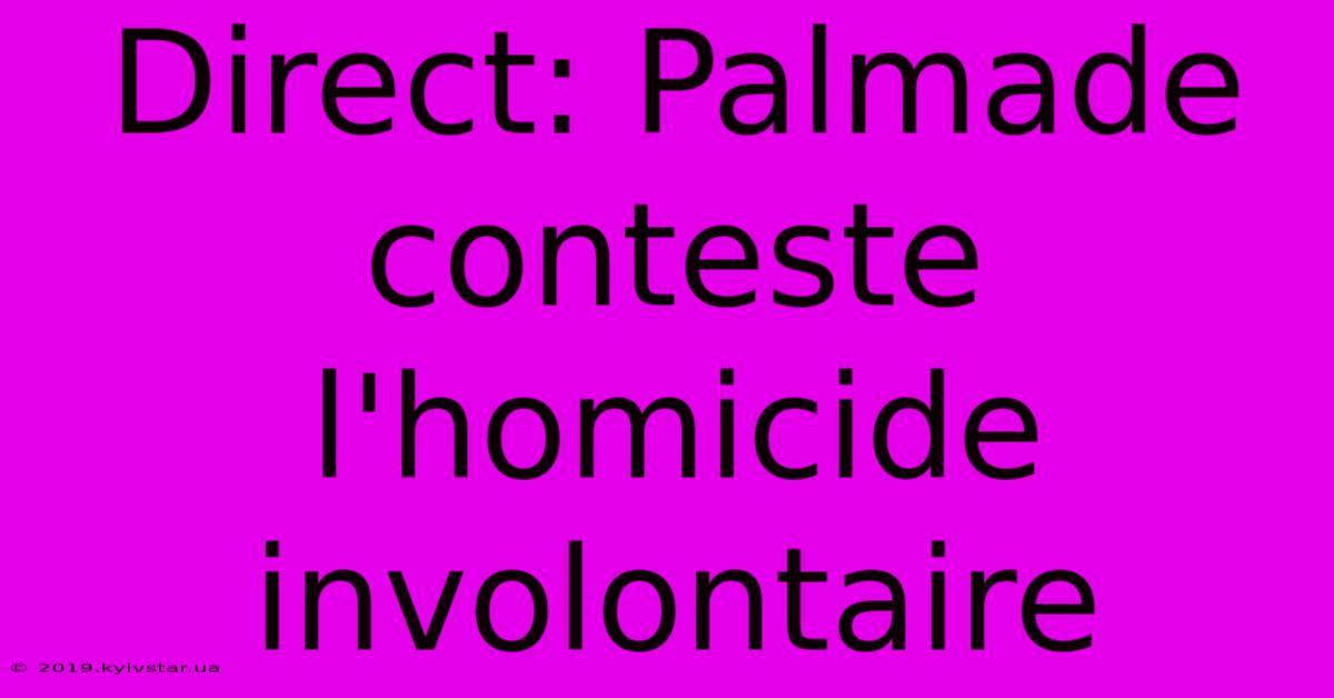 Direct: Palmade Conteste L'homicide Involontaire