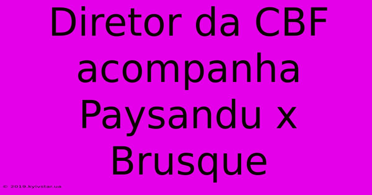 Diretor Da CBF Acompanha Paysandu X Brusque 