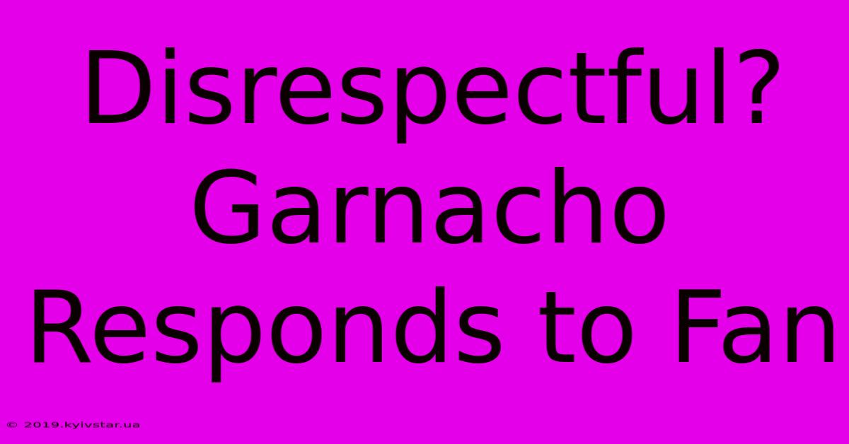 Disrespectful? Garnacho Responds To Fan