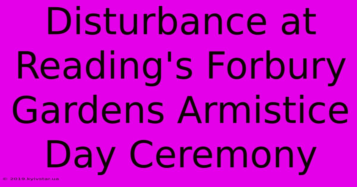 Disturbance At Reading's Forbury Gardens Armistice Day Ceremony