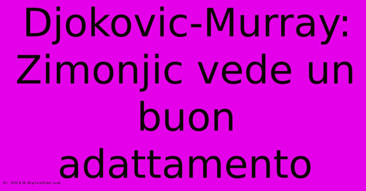 Djokovic-Murray: Zimonjic Vede Un Buon Adattamento