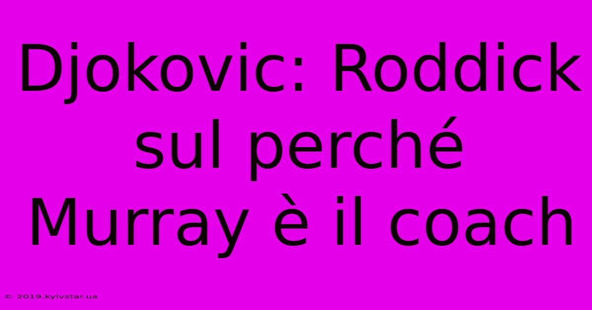 Djokovic: Roddick Sul Perché Murray È Il Coach