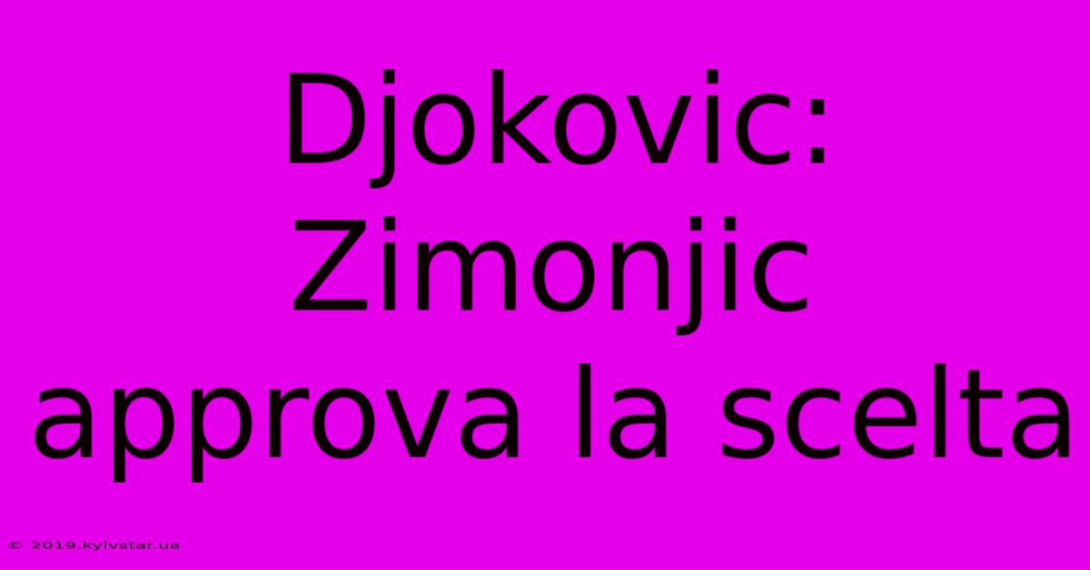 Djokovic: Zimonjic Approva La Scelta