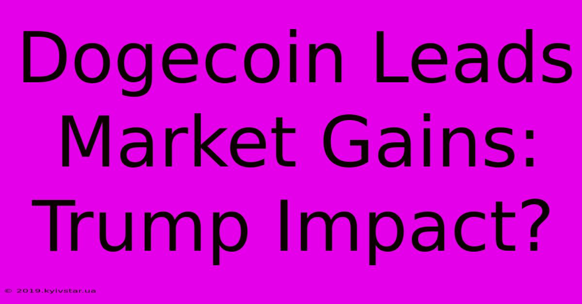 Dogecoin Leads Market Gains: Trump Impact?