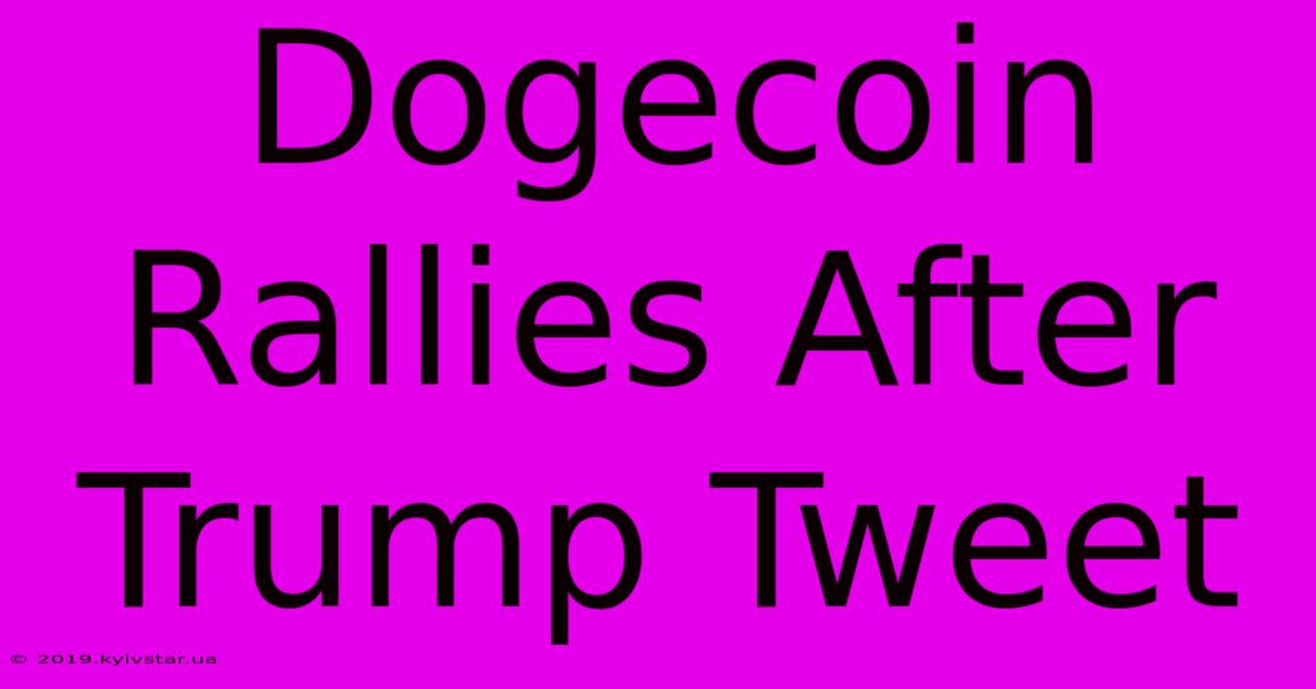 Dogecoin Rallies After Trump Tweet